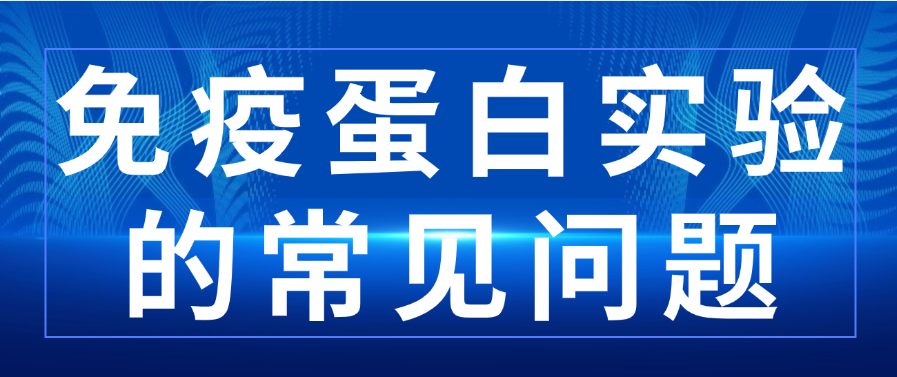 免疫蛋白实验的常见问题