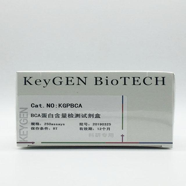 BCA蛋白含量检测试剂盒
