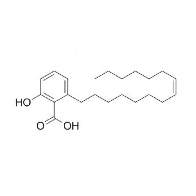 银杏酸GA15：1