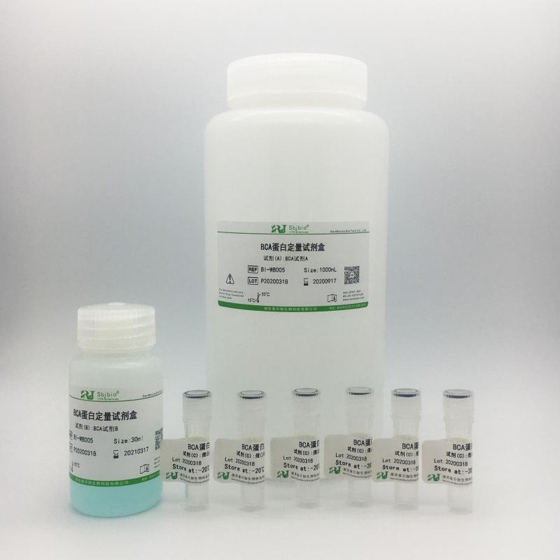 BCA蛋白定量试剂盒（增强型）      规格：