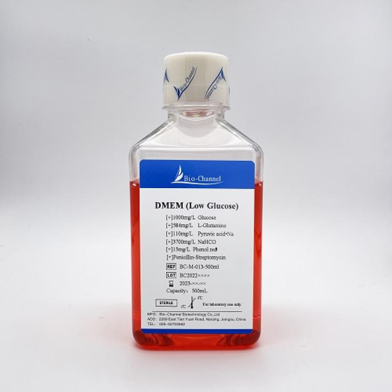 DMEM (Low Glucose, with Penicillin-Streptomycin)