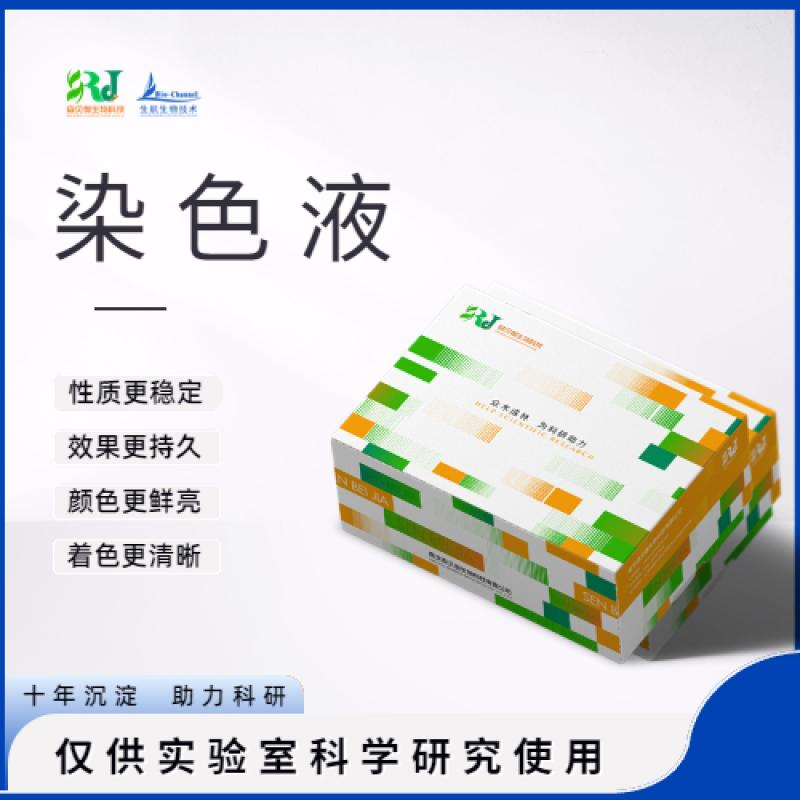 DAPI染色液（5ug/mL）