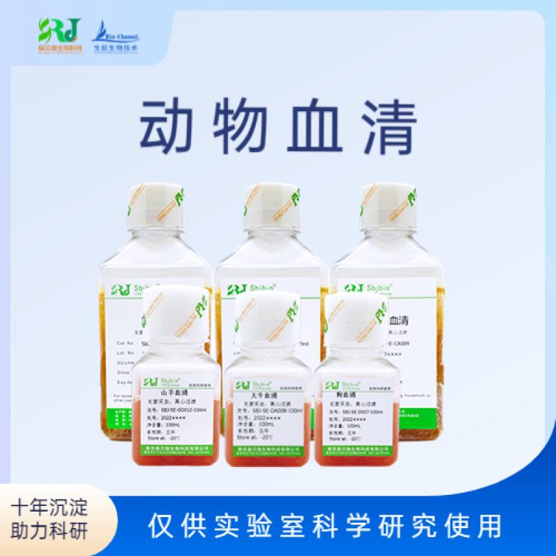 个体迷你猪血清