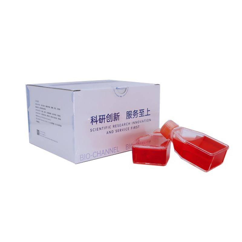 HCC1588细胞专用培养基