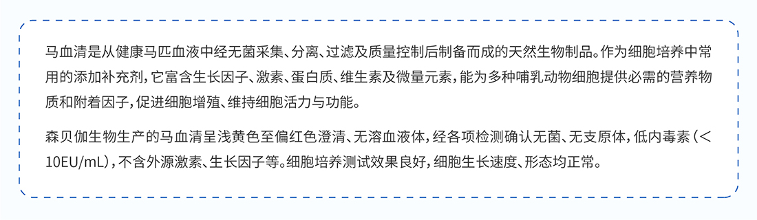 马血清_画板 1 副本.jpg